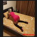 Blonda finuta,